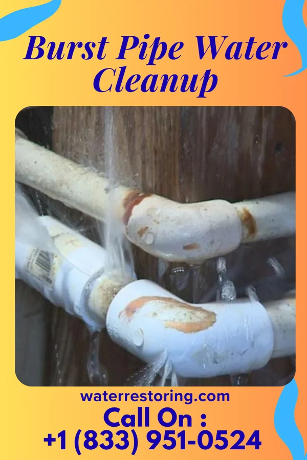 Burst Pipe Water Cleanup in Eaton, OH