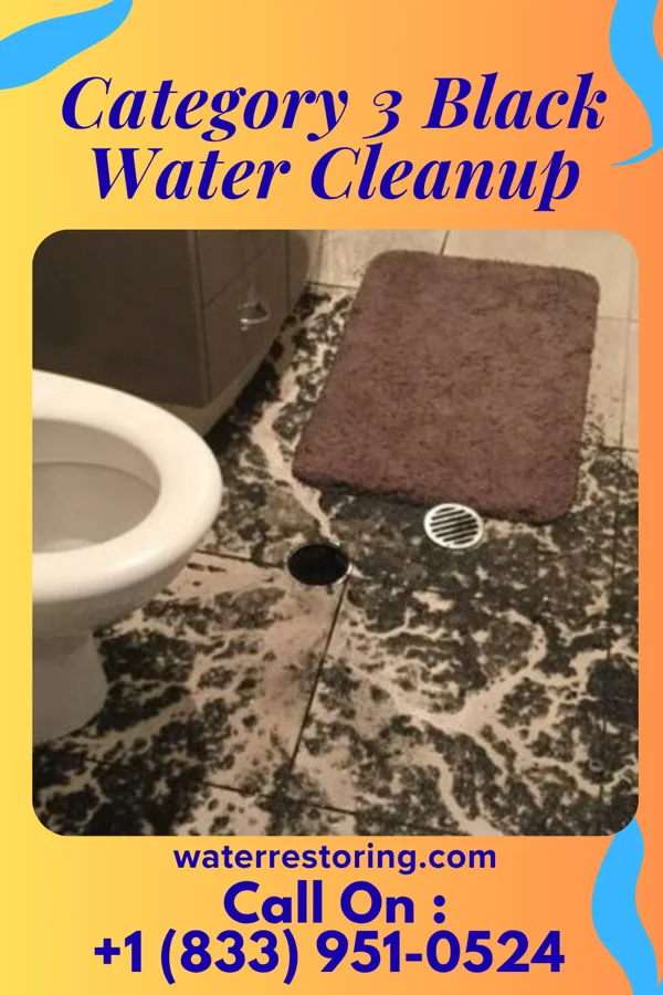 Category 3 Black Water Cleanup in Eaton, OH