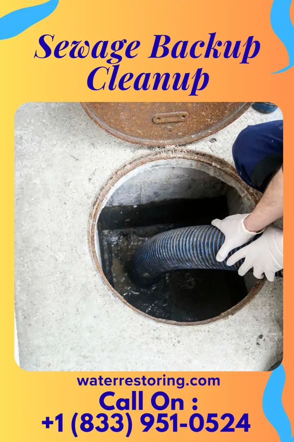Sewage Backup Cleanup in Eaton, OH