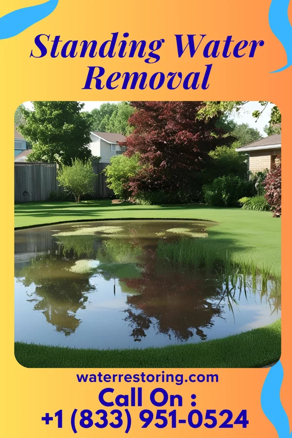 Standing Water Removal in Eaton, OH